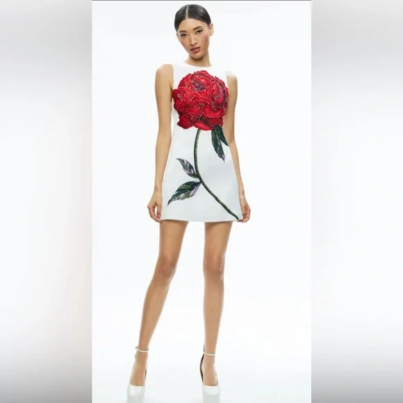 Alice + Olivia by Stacey Bendet White Mini Dress with Red Floral Design - Picture 5 of 13